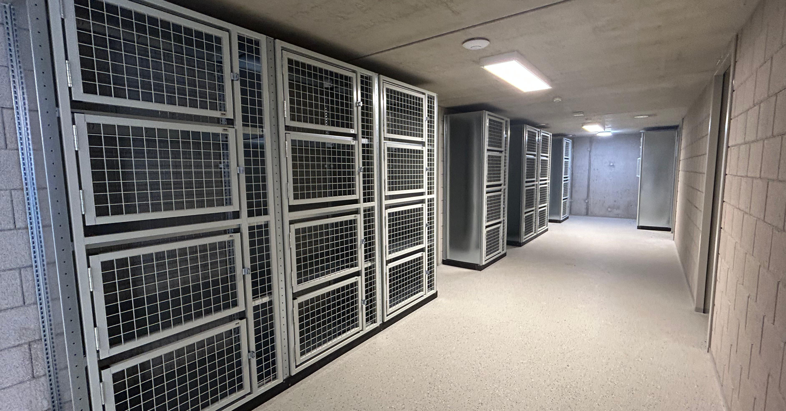 Ballenlockers - vv Maarssen